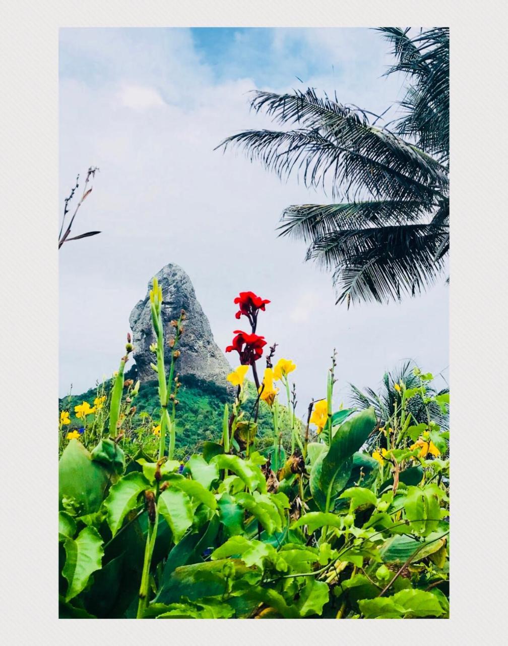 Pousada Morro Do Pico Fernando de Noronha Exteriör bild